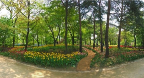 서울숲 튤립정원. ⓒ서울그린트러스트