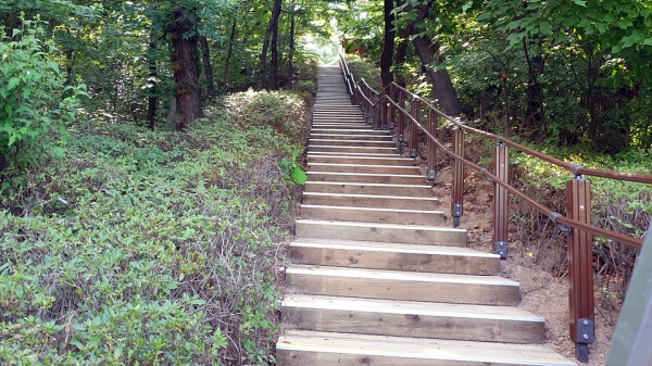 유아숲체험장 주출입구의 계단 ⓒ소셜포커스