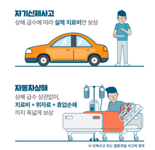 자기신체사고와 자동차상해 보장범위(출처 구글이미지)