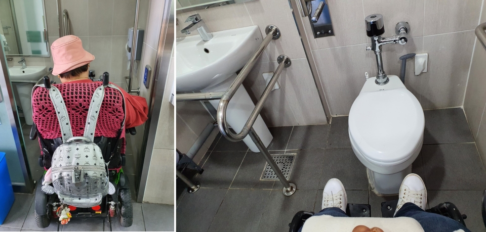 장애인 화장실은 휠체어가 들어가면 문이 닫히지 않을만큼 비좁다. 세면대 앞에 무심코 설치된 가로철봉(규정에 의한 측면철봉 말고)도 세면세 사용을 더욱 어렵게 한다.